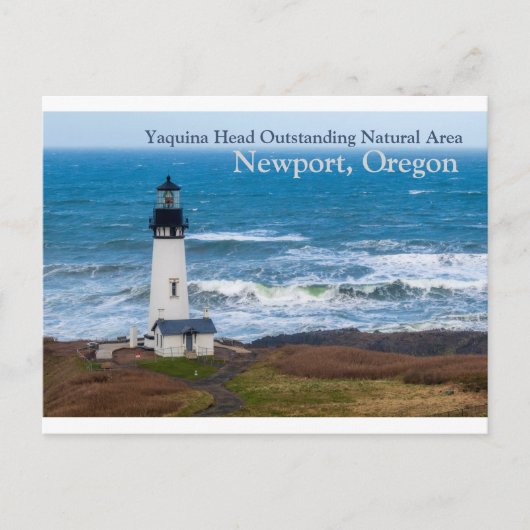 Carte Postale Yaquina Head Superbe zone naturelle Phare (Devant)