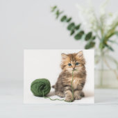 Carte Postale Yarn vert de Kitten (Debout devant)