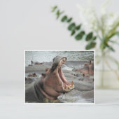 Carte Postale yawn (Debout devant)