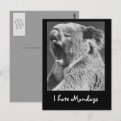Carte Postale Yawning Koala (Devant / Derrière)