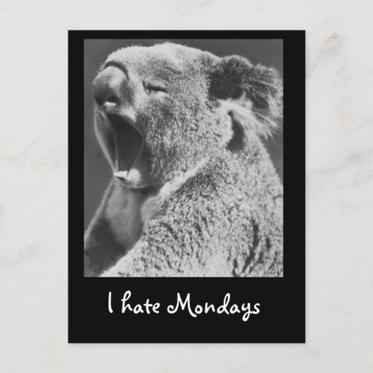 Carte Postale Yawning Koala (Devant)