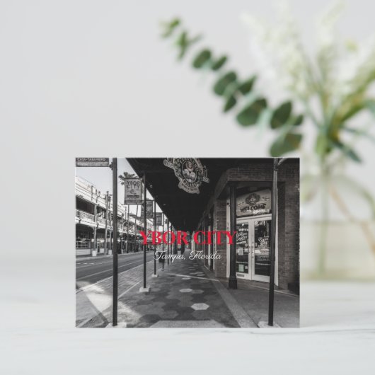 Carte Postale Ybor  (Debout devant)