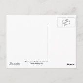 Carte Postale Ybor City, Floride (Dos)