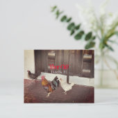 Carte Postale Ybor City, Tampa FLORIDA (Debout devant)