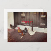 Carte Postale Ybor City, Tampa FLORIDA (Devant / Derrière)