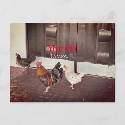 Carte Postale Ybor City, Tampa FLORIDA (Devant)