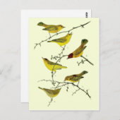 Carte Postale Yellow birds (Devant / Derrière)