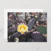 Carte Postale Yellow cactus (Devant / Derrière)
