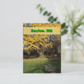 Carte Postale Yellow Gingko (Debout devant)