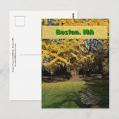 Carte Postale Yellow Gingko (Devant / Derrière)