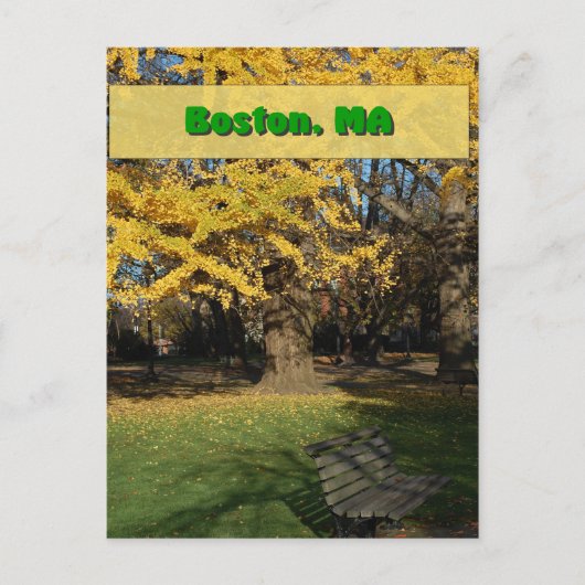 Carte Postale Yellow Gingko (Devant)