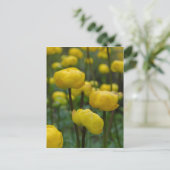 Carte postale Yellow Globe (Debout devant)