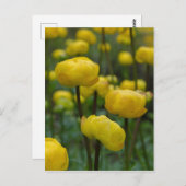 Carte postale Yellow Globe (Devant / Derrière)