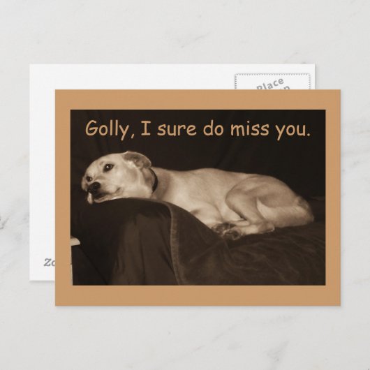 Carte Postale Yellow Lab Pit Husky Golly Je Sais Que Vous Manque (Devant / Derrière)