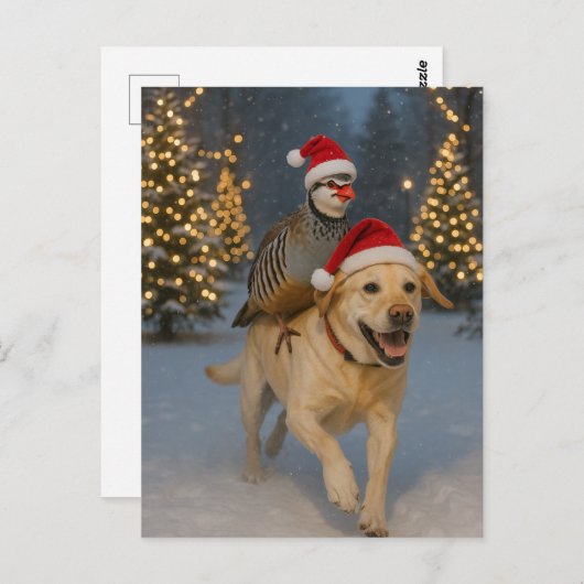 Carte Postale Yellow Labrador and Partridge Christmas postcard (Devant / Derrière)