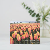 Carte Postale Yellow & Pink Tulip Field, Oregon (Debout devant)