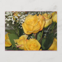 Carte postale Yellow Rose Sun