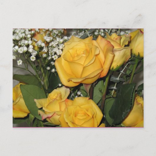 Carte postale Yellow Rose Sun (Devant)