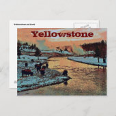 Carte postale Yellowstone (Devant / Derrière)
