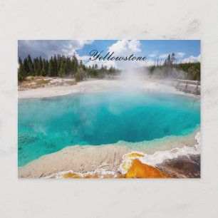 CARTE POSTALE YELLOWSTONE