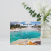 CARTE POSTALE YELLOWSTONE (Debout devant)