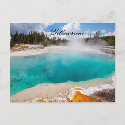 CARTE POSTALE YELLOWSTONE (Devant)