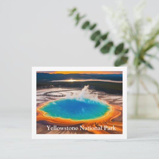 Carte postale Yellowstone (Debout devant)