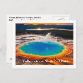 Carte postale Yellowstone (Devant / Derrière)