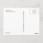 Carte postale Yellowstone (Dos)