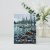 Carte postale Yellowstone (Debout devant)