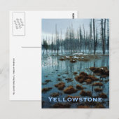 Carte postale Yellowstone (Devant / Derrière)