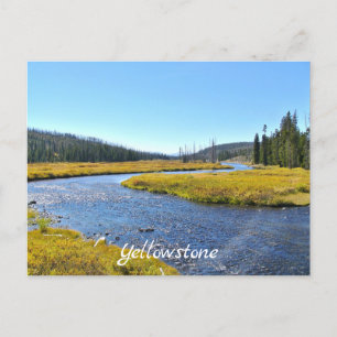 Carte postale Yellowstone
