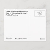 Carte Postale Yellowstone, automne inférieur (Dos)