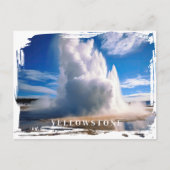 Carte postale Yellowstone Geyser (Devant)