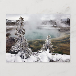 Carte Postale Yellowstone neigeux