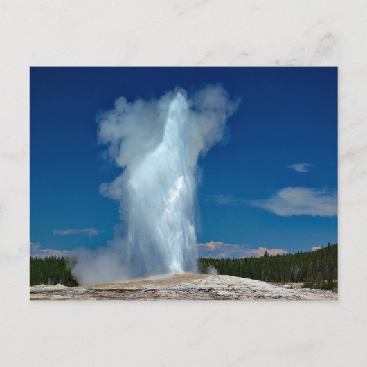 Carte Postale Yellowstone Old Faithcape Photo (Devant)