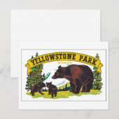 Carte Postale Yellowstone Park, Wyoming (Devant / Derrière)