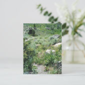 Carte Postale Yellowstone Summer (Debout devant)