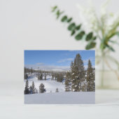 Carte Postale Yellowstone Winter Landscape Photographie (Debout devant)