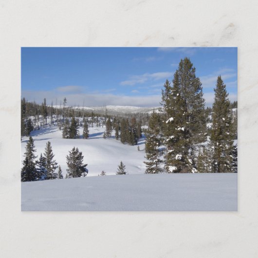 Carte Postale Yellowstone Winter Landscape Photographie (Devant)