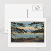 Carte Postale Yellowstone, WY - Lac Yellowstone et Colter (Devant / Derrière)