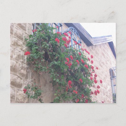 Carte Postale Yemin Moshe (Devant)