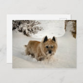 Carte Postale Yeti (Devant / Derrière)