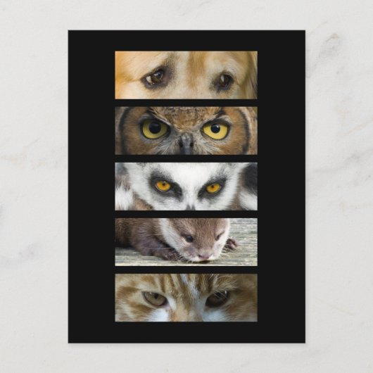 Carte postale - Yeux animaux (Devant)