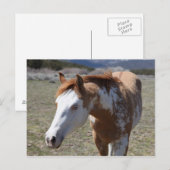 Carte Postale Yeux bleus (Devant / Derrière)