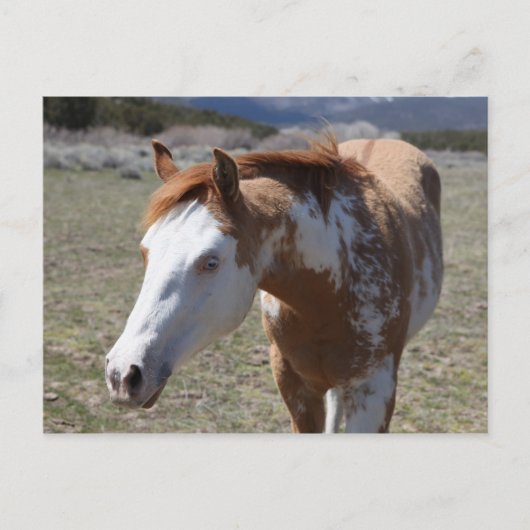 Carte Postale Yeux bleus (Devant)