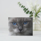 Carte Postale Yeux bleus (Debout devant)
