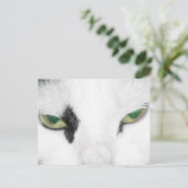 Carte Postale Yeux de chat (Debout devant)
