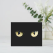 Carte Postale Yeux de Chat (Debout devant)