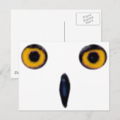 Carte Postale Yeux de chouette (Devant / Derrière)